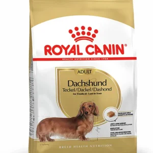 ROYAL CANIN BHN Small Breed Dachshund Adult 1,5kg Hundetrockenfutter Angebot